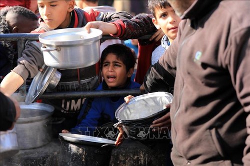 ​  粮食署暂时中止加沙人道主义行动 - ảnh 1