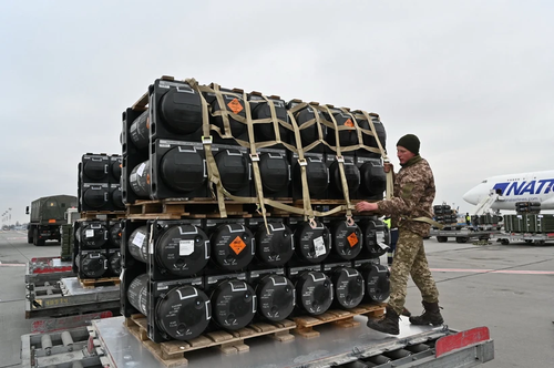美国宣布向乌克兰追加3亿美元军事援助 - ảnh 1