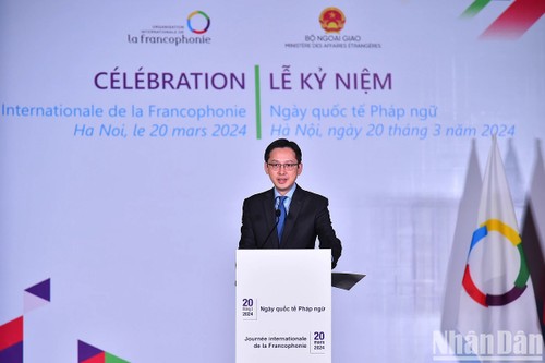越南一向重视与法语国家共同体的合作与团结 - ảnh 1
