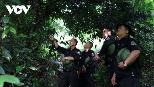 世界银行向越南通过保护森林减少排放支付5150万美元 - ảnh 1