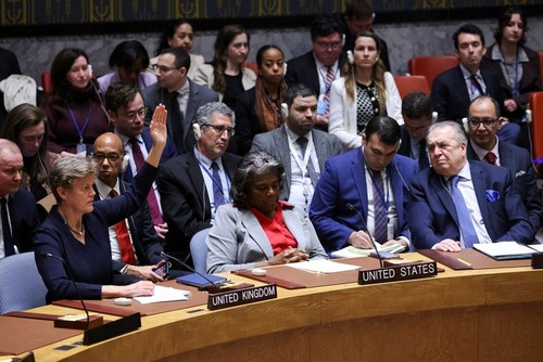 联合国安理会通过决议呼吁加沙立即停火 - ảnh 1