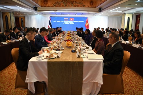 越泰举行双边合作联合委员会第5次会议 - ảnh 1
