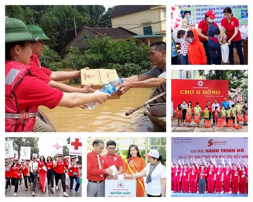 人道主义行动月：各级红十字会全力援助10万个人道主义地址 - ảnh 1