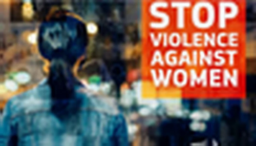 欧盟支持首部打击对妇女暴力行为的法律  - ảnh 1