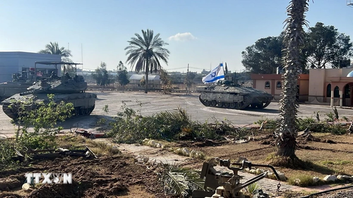 国际舆论对以色列在拉法市的军事行动做出反应 - ảnh 1