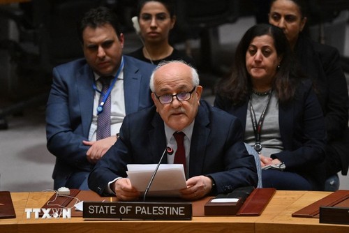 巴勒斯坦在成为联合国正式会员国的道路上迈出了新的一步 - ảnh 1