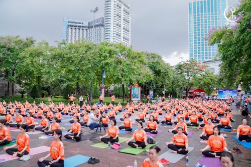 2024年夏季瑜伽节吸引来自世界各国的大量瑜伽爱好者参与 - ảnh 1