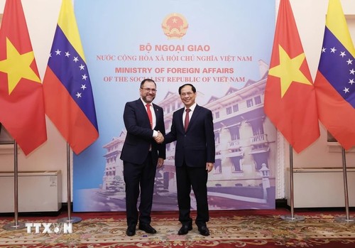越南与委内瑞拉一致同意加强多领域合作关系 - ảnh 1