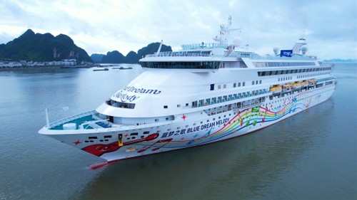 下龙湾迎来载着630多名游客的国际游轮 - ảnh 1