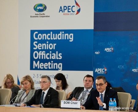 Vietnam berinisiatif dalam proses integrasi APEC - ảnh 2