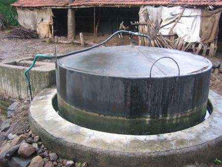Forum tentang biogas daerah Vietnam Selatan - ảnh 1