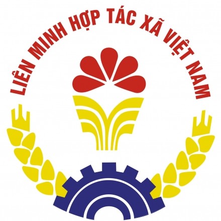 Meningkatkan kemampuan aktivitas koperasi di daerah Vietnam tengah dan daerah Tay Nguyen - ảnh 1
