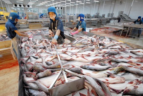 UU tentang Farm Bill dari Amerika Serikat akan menyulitkan ikan patin Vietnam - ảnh 1