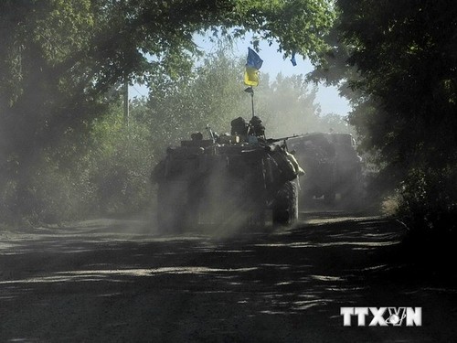 Komunitas internasional menekankan solusi damai bagi bentrokan di Ukraina - ảnh 1