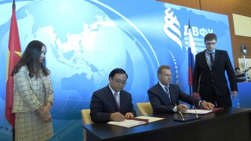 Deputi PM Hoang Trung Hai mengunjungi kota Vladivostik, Federasi Rusia - ảnh 1