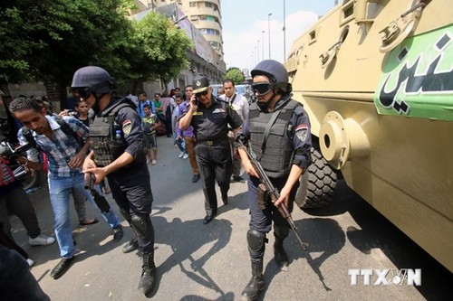 Mesir membasmi banyak anasir mujahidin - ảnh 1
