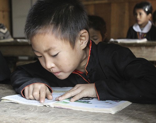 Vietnam mencapai kemajuan-kemajuan melompat dalam melaksanakan hak anak-anak - ảnh 1