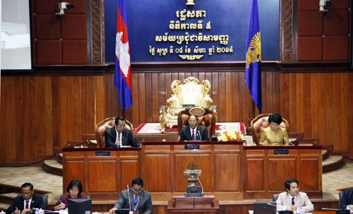 Majelis Tinggi Kamboja meratifikasi RUU tentang Asosiasi dan LSM - ảnh 1