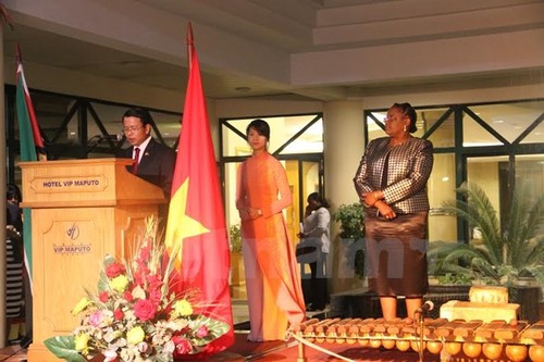 Banyak aktivitas peringatan Hari Nasional Vietnam diadakan di luar negeri - ảnh 1