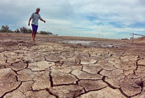 Vietnam melakukan persiapan untuk Permufakatan global tentang Perubahan iklim 2015 - ảnh 1