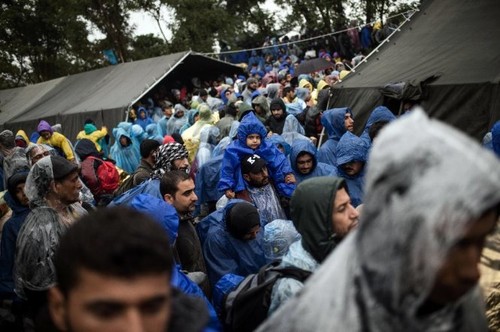 Kroatia membuka koridor perbatasan dengan Serbia bagi kaum migran - ảnh 1