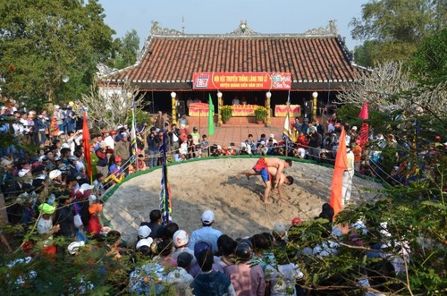 Pesta gulat desa Sinh, provinsi Thua Thien – Hue yang bergelora - ảnh 1