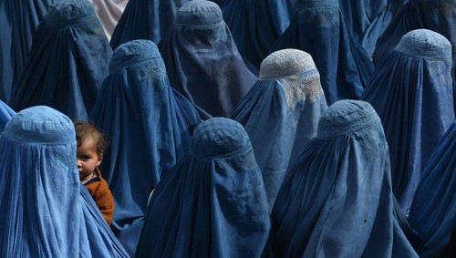 Danemark: Interdiction officielle du port de la burqa dans l’espace public - ảnh 1