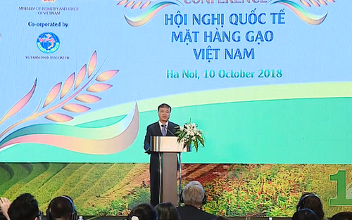 Pour une exportation durable du riz au Vietnam - ảnh 1
