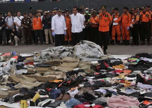 Crash en Indonésie: Jakarta ordonne le limogeage d’un responsable de Lion Air - ảnh 1