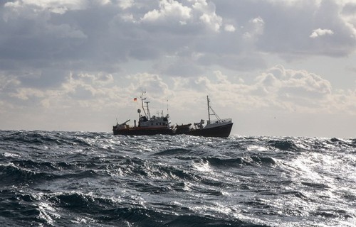 Malte: solution pour accueillir les 49 migrants bloqués en mer - ảnh 1