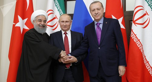 Poutine veut accueillir un sommet Russie-Turquie-Iran sur la Syrie - ảnh 1