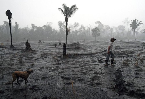 Sept pays d’Amérique du Sud signent un pacte pour défendre l’Amazonie - ảnh 1