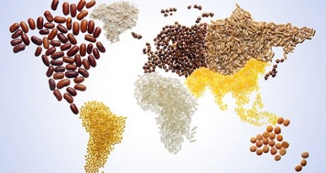 Quelles solutions pour répondre aux défis de la sécurité alimentaire mondiale? - ảnh 1