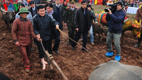 Staatspräsident Truong Tan Sang nimmt an einem Reisanbau-Fest teil - ảnh 1
