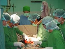 Organtransplantation –eine Errungenschaft des vietnamesischen Gesundheitswesens - ảnh 1