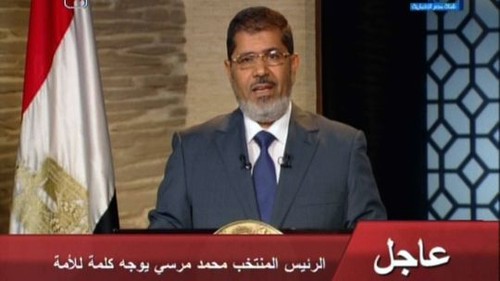 Neuer Präsident ruft Ägypter zur nationalen Einheit auf - ảnh 1