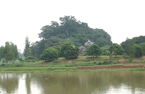 Die Gedenkstätte der Pagode Ba Danh auf dem Ngoc-Berg - ảnh 2