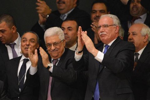  UNO erkennt Palästina als beobachtenden Nicht-Mitgliedsstaat an - ảnh 1