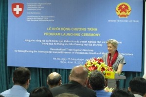 Schweiz unterstützt kleine und mittelständische Unternehmen Vietnams - ảnh 1