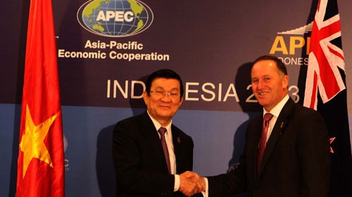 Vietnam integriert sich aktiv in der APEC - ảnh 1