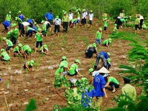 Vietnam engagiert sich für Aktivitäten gegen Klimawandel - ảnh 1