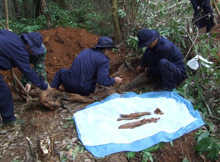 Vietnam will bis 2015 rund 10.000 sterbliche Überreste von gefallenen Soldaten finden - ảnh 1