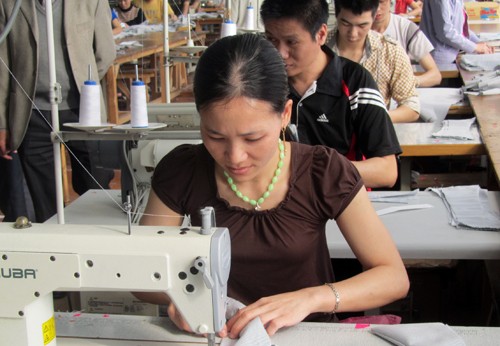 Mehr als 11.000 vietnamesische Arbeiter werden in Südkorea arbeiten - ảnh 1