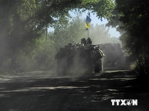 Weltgemeinschaft fordert friedliche Maßnahmen für Konflikt in der Ukraine  - ảnh 1