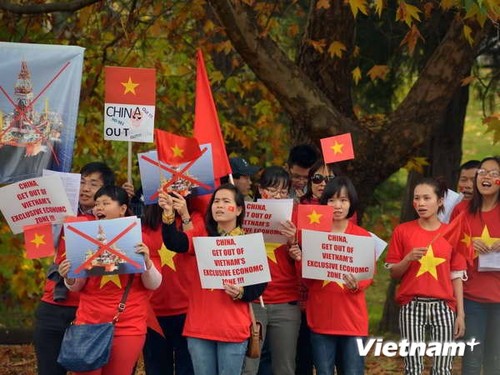 Auslandsvietnamesen unterstützen Seepolizei und Fischereiaufsichtskräfte Vietnams - ảnh 1