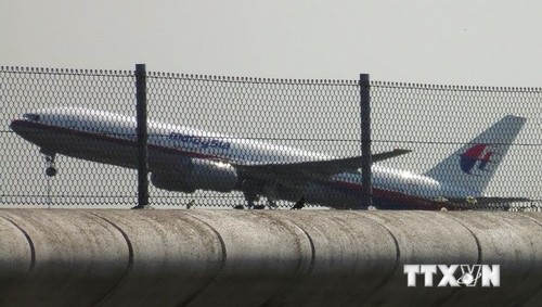 Zweiter Flugschreiber des verunglückten malaysischen Flugzeugs gefunden - ảnh 1