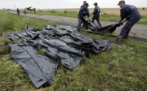 Politische Interessen hinter MH17-Tragödie - ảnh 1