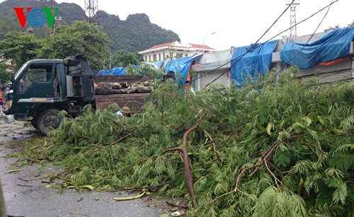 Nordvietnamesische Provinzen ergreifen Maßnahmen gegen Taifun Kalmaegi - ảnh 1