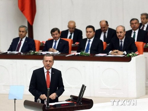Türkeis Präsident Erdogan fordert Bodenoffensive gegen den IS - ảnh 1