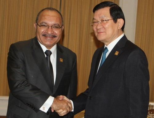 Aktivitäten des vietnamesischen Staatspräsidenten im Rahmen des APEC-Gipfels - ảnh 1